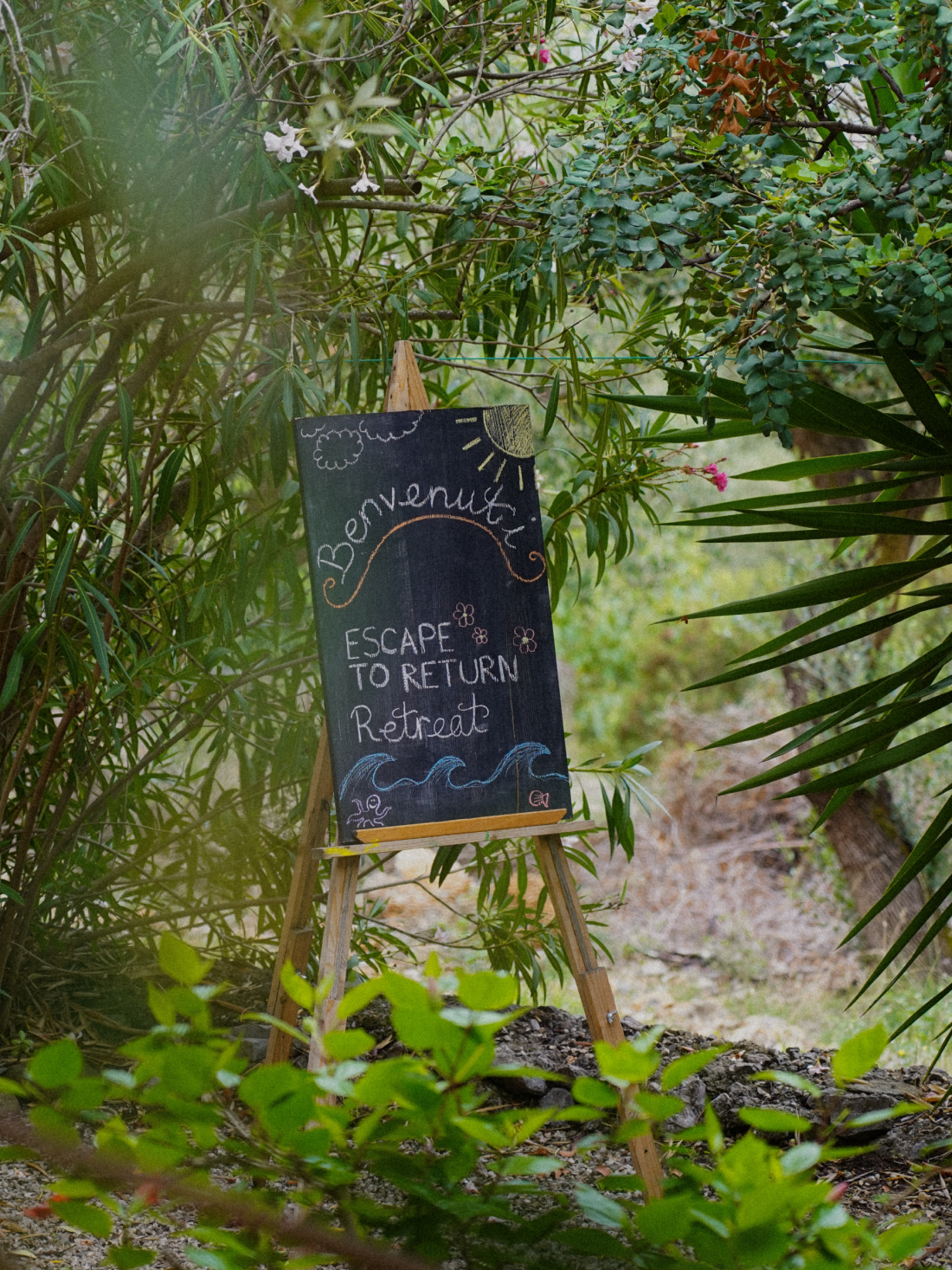 Wellness Experience